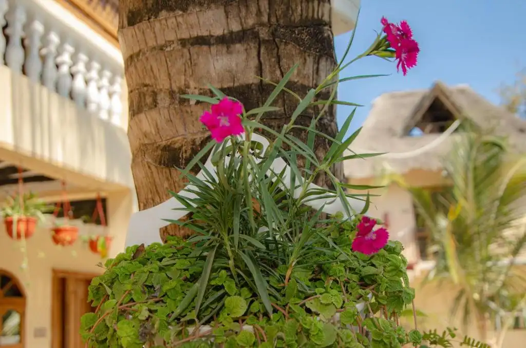 Sunbrella Boutique Hotel